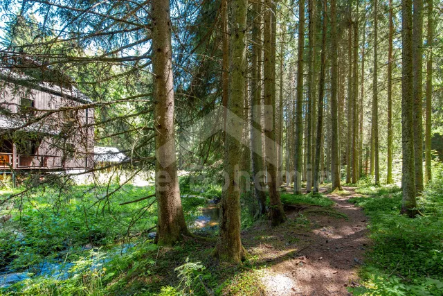 Holiday Home Bohemian Forest - Nove Hute JC 0850