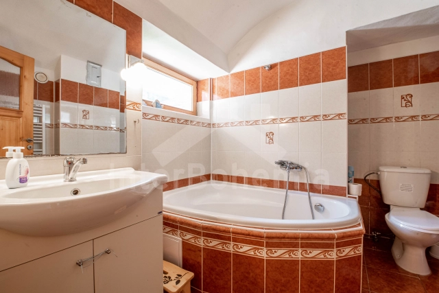 Vakantiehuis Boheems Woud - Nisovice JC 0816