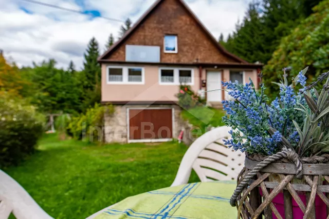 Ferienhaus Isergebirge - Desná JH 0043