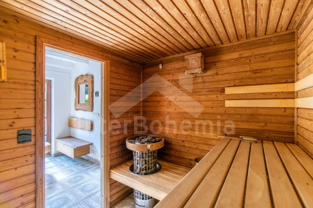 Holiday Home Orlicke Mountains - Horni Orlice (Kraliky) VC 0069