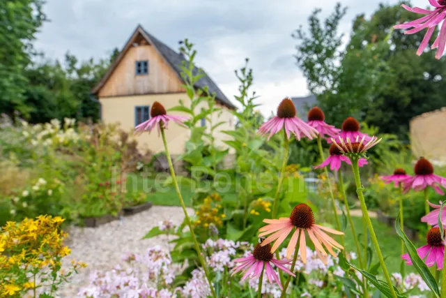 Bungalow Kokořín en Mácha gebied - Drevcice OP 0153