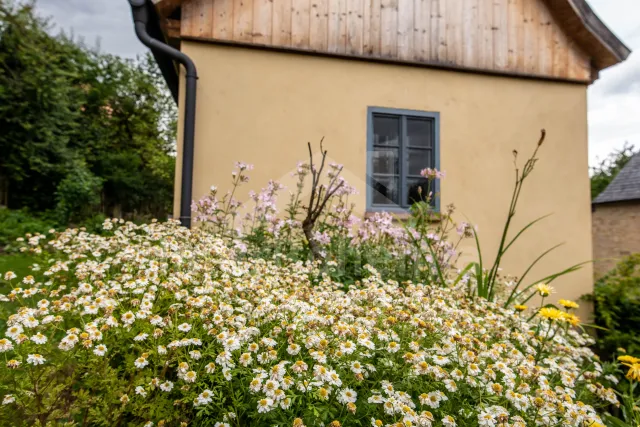 Bungalow Kokořín en Mácha gebied - Drevcice OP 0153