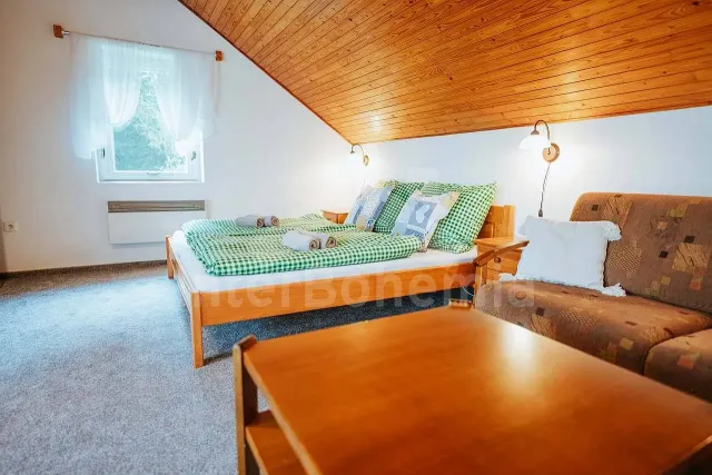 Ferienwohnung Adlergebirge -  VC 0203