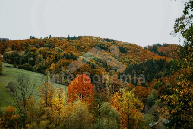 Chalet Beskydy Mountains -  SM 0097