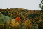 Chalet Beskydy Mountains -  SM 0097