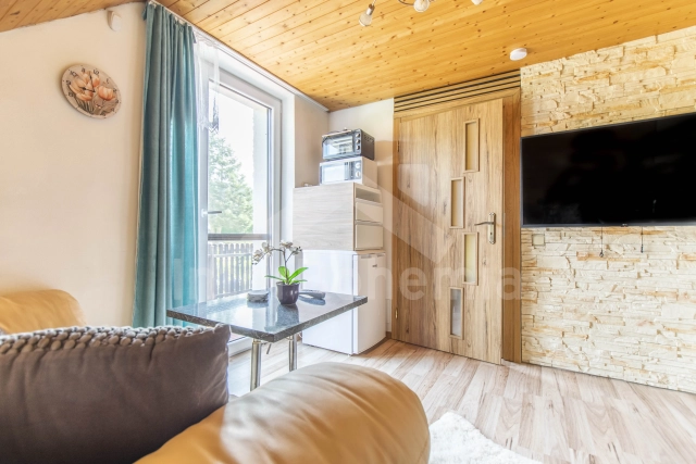 Villa Lipno Stausee -  JC 0878