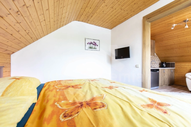 Villa Lipno Stausee -  JC 0878