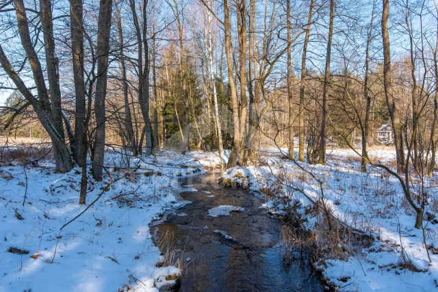 Bungalow Böhmisch – Mährischen Hochland - Krasonov JC 0842
