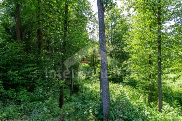 Chalet Bohemian-Moravian highlands - Krasonov JC 0842