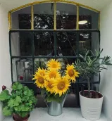 foto´s