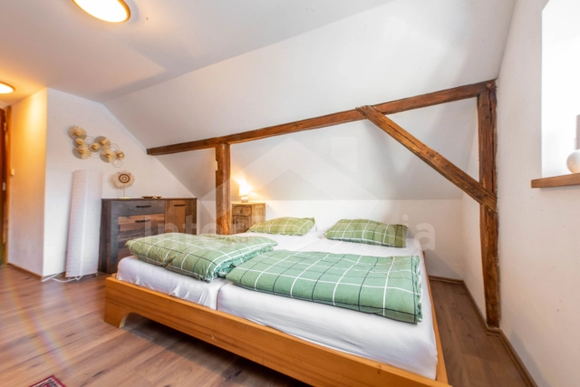 Vakantiehuis Boheems-Moravische hoogvlakte - Krasonov JC 0841
