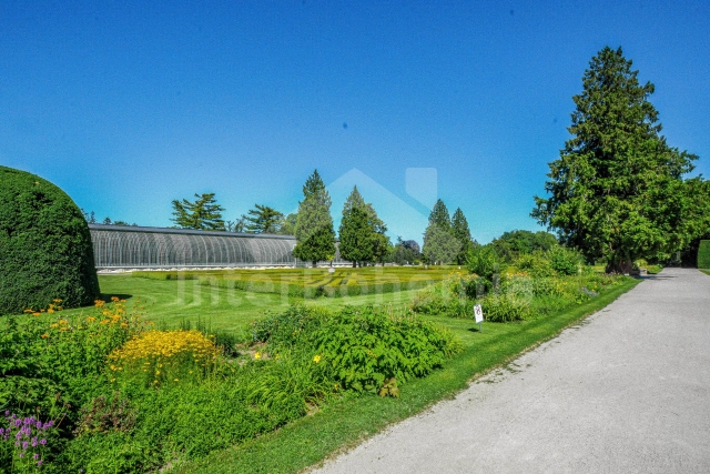 Guest house South Moravia - Palava - Lednice JM 0125