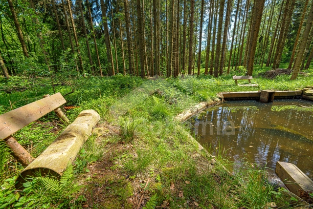 Bungalow České Budějovice en omgeving - Dobcice JC 0565