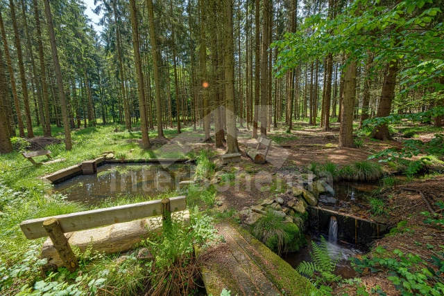 Bungalow České Budějovice en omgeving - Dobcice JC 0565
