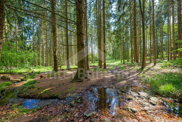 Bungalow České Budějovice en omgeving - Dobcice JC 0565