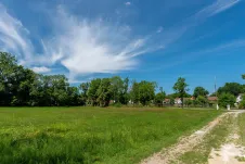 photos