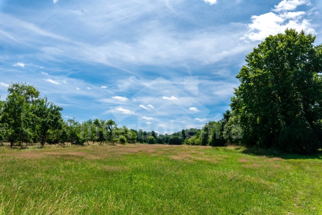 Holiday Home Trebon and Surroundings - Mnisek JC 0902