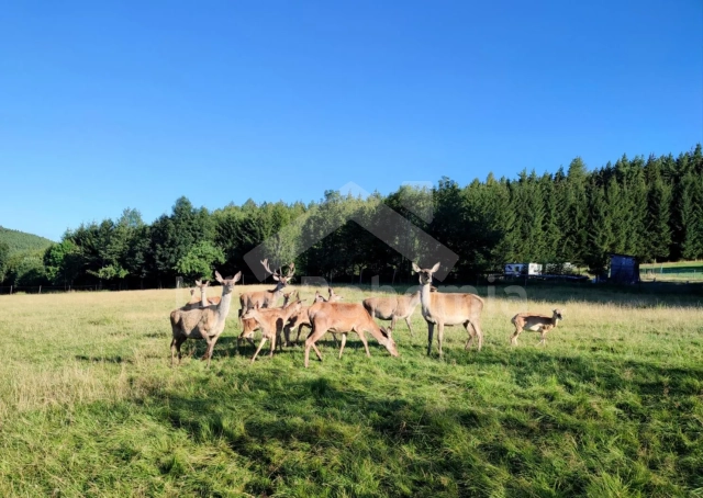 Holiday Home Bohemian Forest -  JC 0889