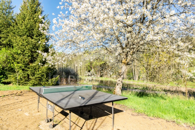 Vakantiehuis Heuvellandschap Boheems bos ZC 0145